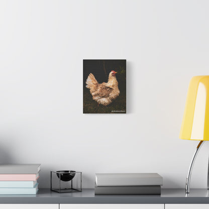 Charming Chicken Canvas Print