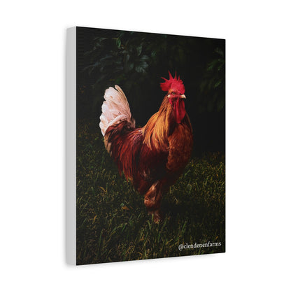 Rooster Matte Canvas, 1.25"