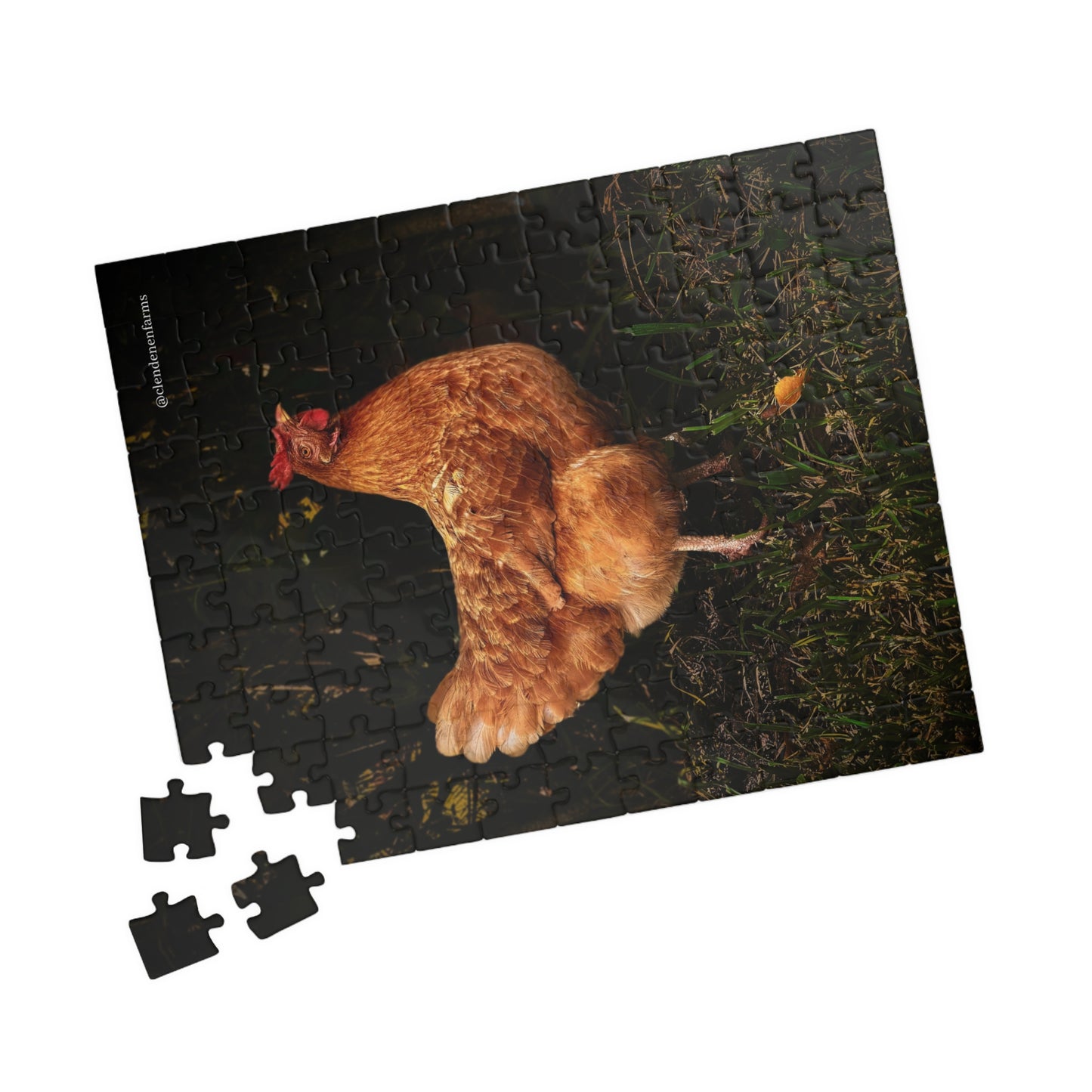 Chicken Photo Jigsaw Puzzle — Farm Hen 110/252/520/1014-Piece