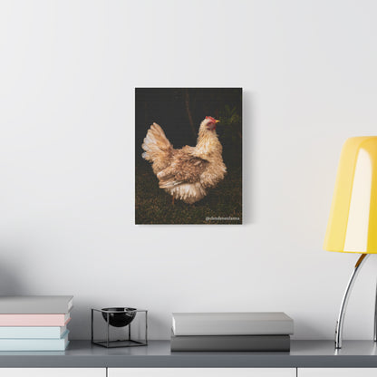 Charming Chicken Canvas Print
