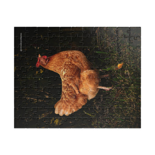 Chicken Photo Jigsaw Puzzle — Farm Hen 110/252/520/1014-Piece