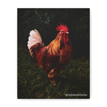 Rooster Matte Canvas, 1.25"