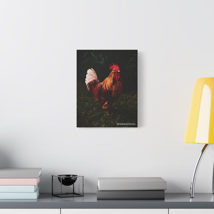 Rooster Matte Canvas, 1.25"