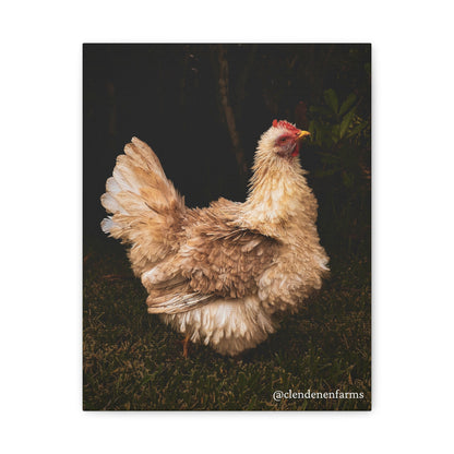 Charming Chicken Canvas Print