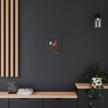 Rooster Matte Canvas, 1.25"