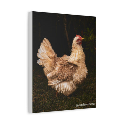 Charming Chicken Canvas Print