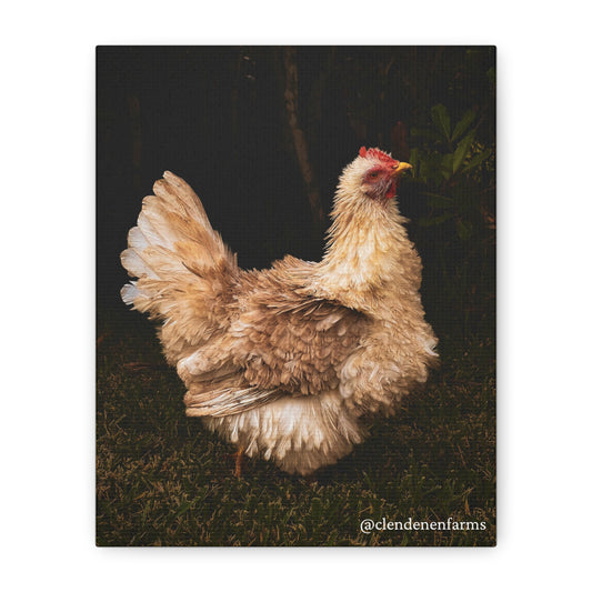 Charming Chicken Canvas Print, Farmhouse Decor, Rustic Wall Art, Country Home Accent, Gift for Animal Lovers