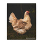 Charming Chicken Canvas Print
