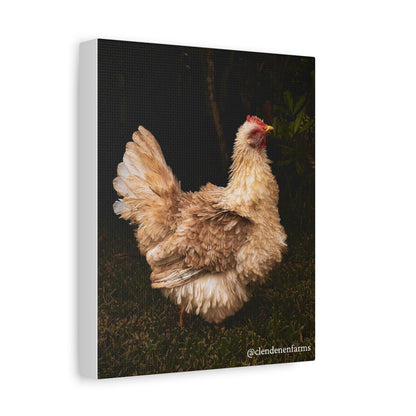 Charming Chicken Canvas Print