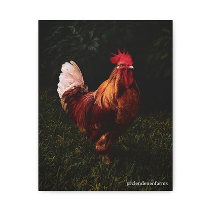 Rooster Matte Canvas, 1.25"