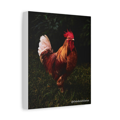 Rooster Matte Canvas, 1.25"